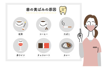 歯の黄ばみの原因について説明する女性歯科医（日本語ver.）