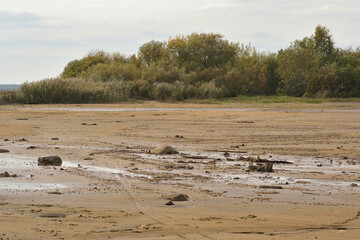 Drying bottom of the river against the background of a natural landscape - shore, trees, sky. Low water level in the reservoir.
