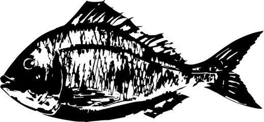魚拓の墨で描いた鯛