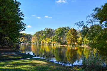 Fall Pond and Trees - Clove Lakes Park - Staten Island, NY in Fall