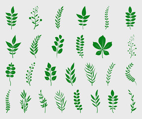 Green Leaves Printable Vector Illustration. Set of tree branches vector illustrations.