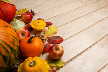 Fall small orange pumpkin decor, copy space