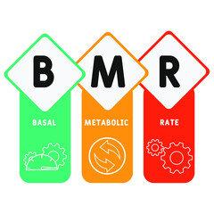 BMR - Basal Metabolic Rate acronym. medical concept background.  vector illustration concept with keywords and icons. lettering illustration with icons for web banner, flyer, landing 