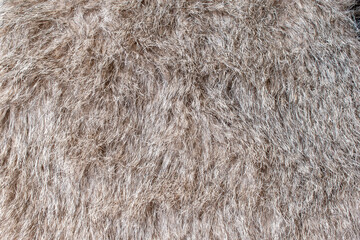 Close-up soft brown fur texture used for beautiful abstract background design
