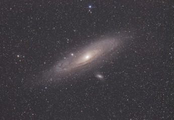 Andromeda Galaxy in a Field of Stars