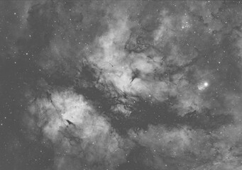 Butterfly Nebula Monochrome Image