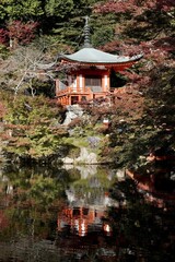 Obraz premium 日本の紅葉 京都醍醐寺