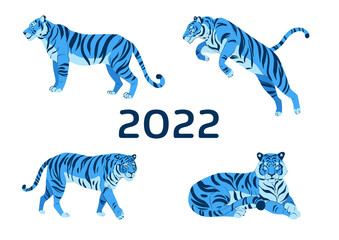 Set of adult big blue tiger vector flat illustration isolated on white background