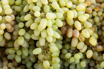 There are many green grapes on the market counter. Vitamins and health from nature. Close-up.