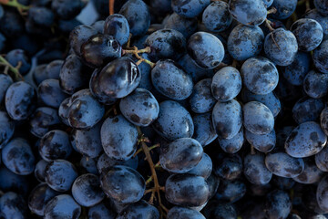Lots of blue grapes on the market counter. Vitamins and health foods from nature in the season of colds. Close-up.