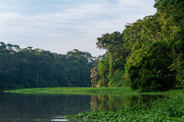 Fototapeta premium Embarking on a journey through the lush wonders of Tortuguero National Park, Costa Rica, where biodiversity flourishes, and conservation efforts thrive in a pristine rainforest paradise