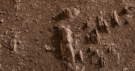 Protruding rock layers, rocky ledges. Tobacco Brown color. Mars planet surface concept. © Sergei Tim