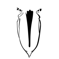 Vector image of shoebill bird's beak.