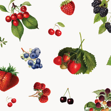 Hand drawn mixed berries on a gray background vector
