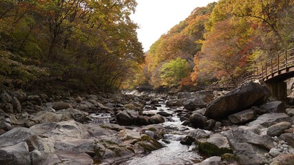 Beautiful autumn valley scenery in Korea