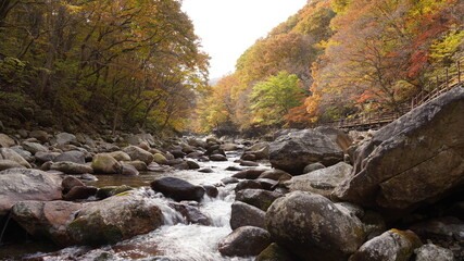 Beautiful autumn valley scenery in Korea