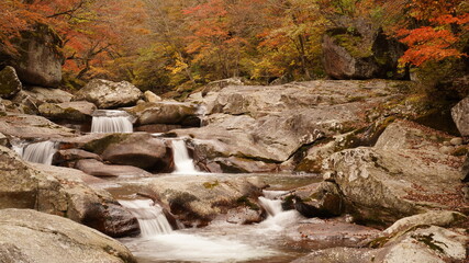 Beautiful autumn valley scenery in Korea