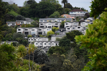 Modern medium density apartment homes on a hillside in Auckland, New Zealand