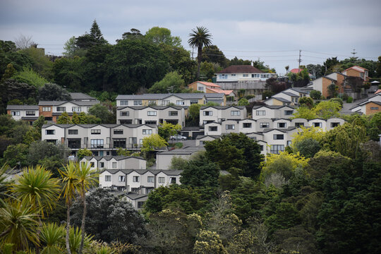 Modern Medium Density Apartment Homes On A Hillside In Auckland, New Zealand