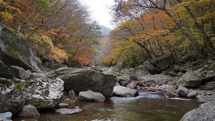 Beautiful autumn valley scenery in Korea