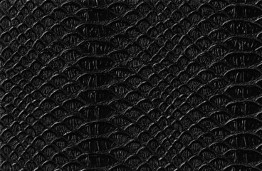 Black crocodile leather texture, skin