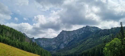 Fototapeta na wymiar Zakopane - Berge