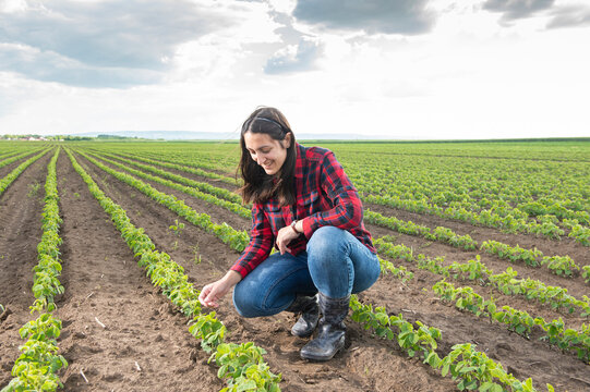 A young female farmer in a soybean field
