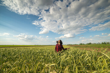 Fototapeta premium A young woman in a green wheat field