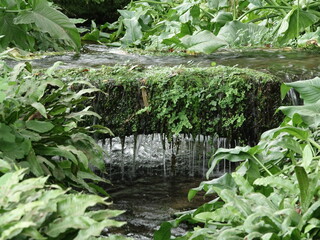Fototapeta na wymiar water flowing into the garden