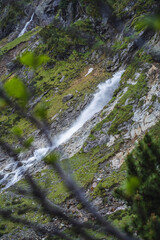 Alpenrose and waterfall in alpine mountain valley with streams of glacial melting water. Sulzenau Alm, Stubai Alps, Austria