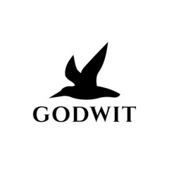 Gotwit bird in white background, flat minimalist vector logo design