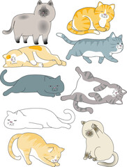 cat vector illustration screen logo
