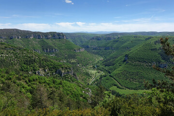 Fototapeta na wymiar Vallée de la Dourbie - entre Causse Noir et Plateau du Larzac