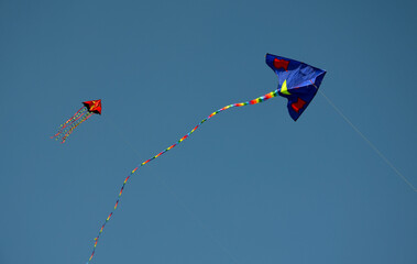 kites flying in the blue sky, dragon. danger of contact with high voltage wires, will cause shock and injury to children and adults. keep your distance. do not fly during thunderstorms, lightning