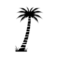 Coconut Palm Tree Icon