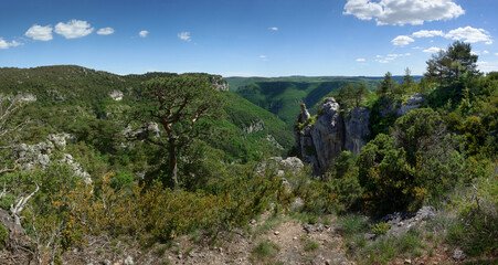 Gorges de la Dourbie - vue sur le Plateau du Larzac
