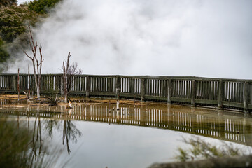 Fototapeta na wymiar Geothermal lake in Kuirau Park, Rotorua, New Zealand
