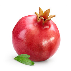 Pomegranate leaves isolated white background