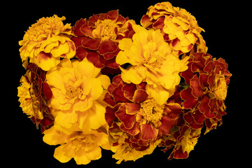 Bouquet of calendula flowers on a black background. View from above. Full depth of field. With clipping path.