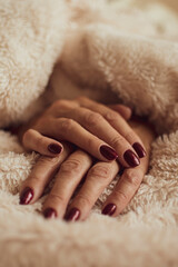 Female hands with dark red nails. Neat and elegant manicure for a lady. Royal bordeaux color on fingernails. Selective focus on the details, blurred background.
