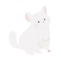 チンチラ