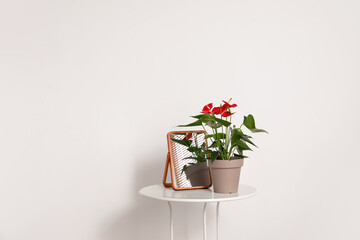 Anthurium flower in pot and mirror on table near white wall