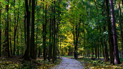City park in Brzeg Dolny