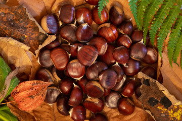 Chestnuts. Autumn mood. Food. Natural.