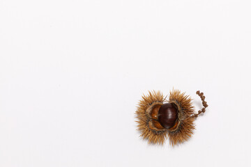 Chestnuts. Autumn mood. Food. Natural.