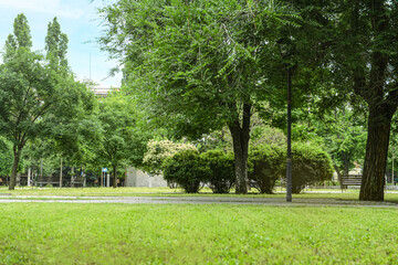 Panorama of beautiful city park