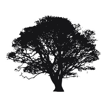 Tree art design, vector file, flower tree art