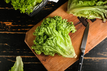 Board with fresh lettuce on dark wooden background
