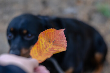 Defocus, blur, noise, grain effect. The hand holds a red-orange