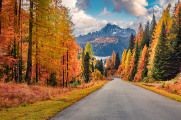 Colorful morning view of asphalt road in mountain forest. Impressive autumn scene of Dolomite Alps, Cortina d'Ampezzo location, Italy, Europe. Traveling concept background..